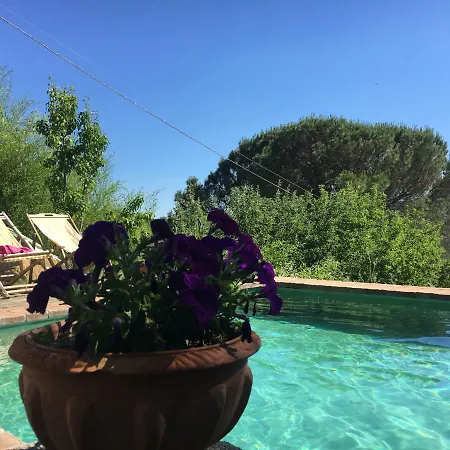 Podere Di Maggio - Canvas Tent Chestnut