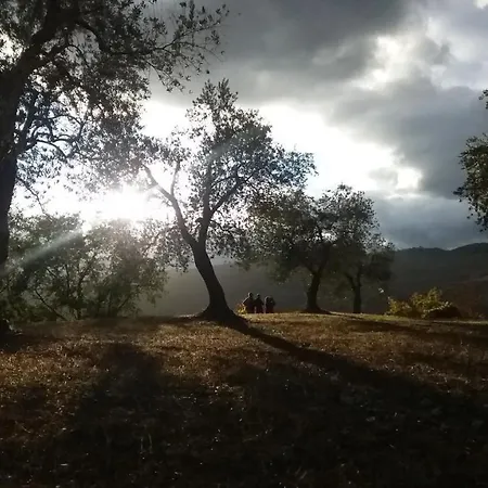 Tenda Glamping Vista Sulla Valle - Podere Di Maggio